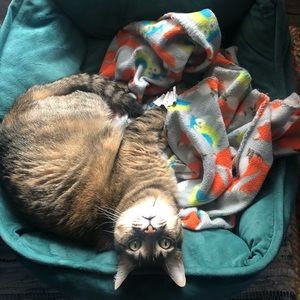 Meet your Posher, Elisia